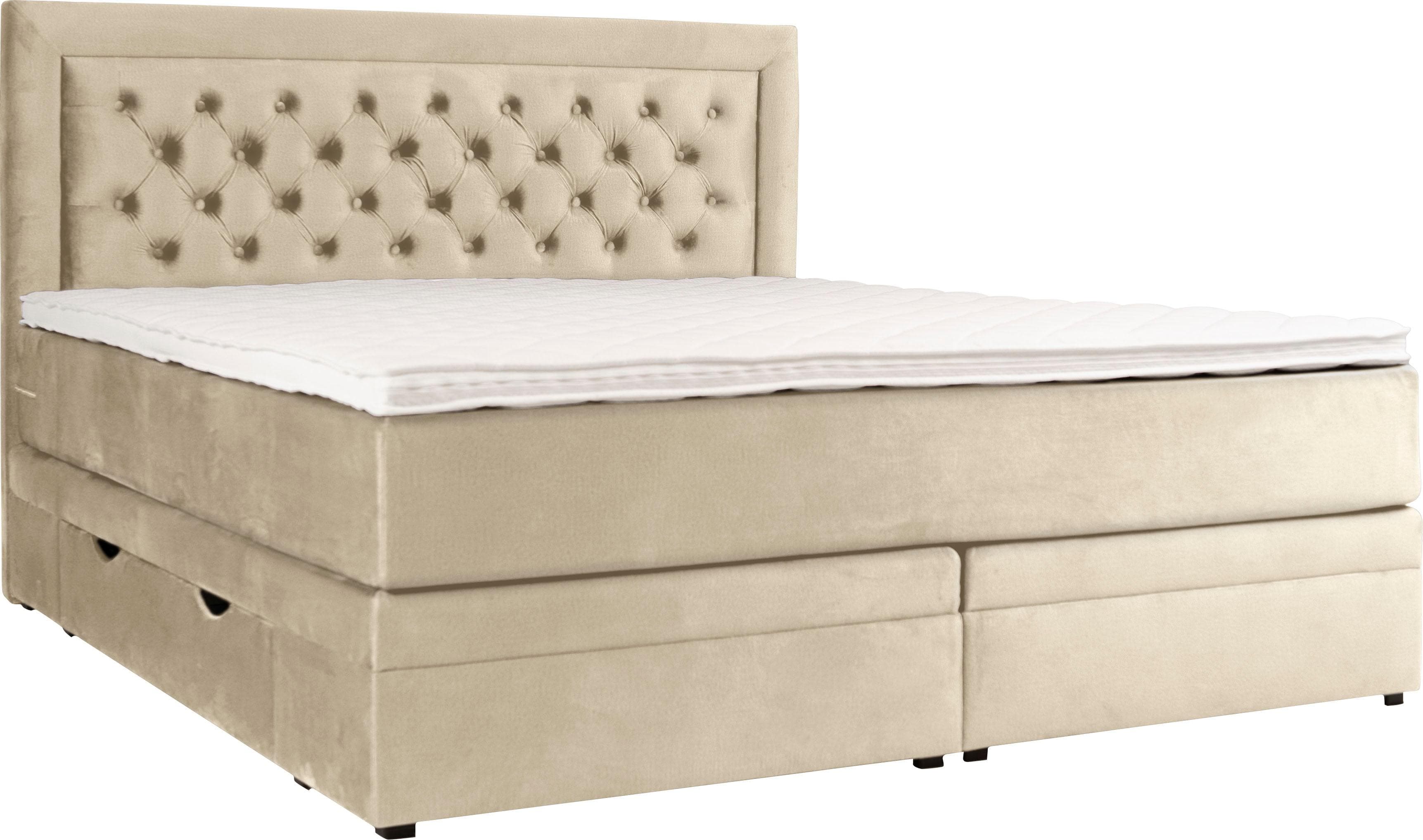 HOME AFFAIRE Boxspringbett Julien Beige Samtvelours mit Stauraum