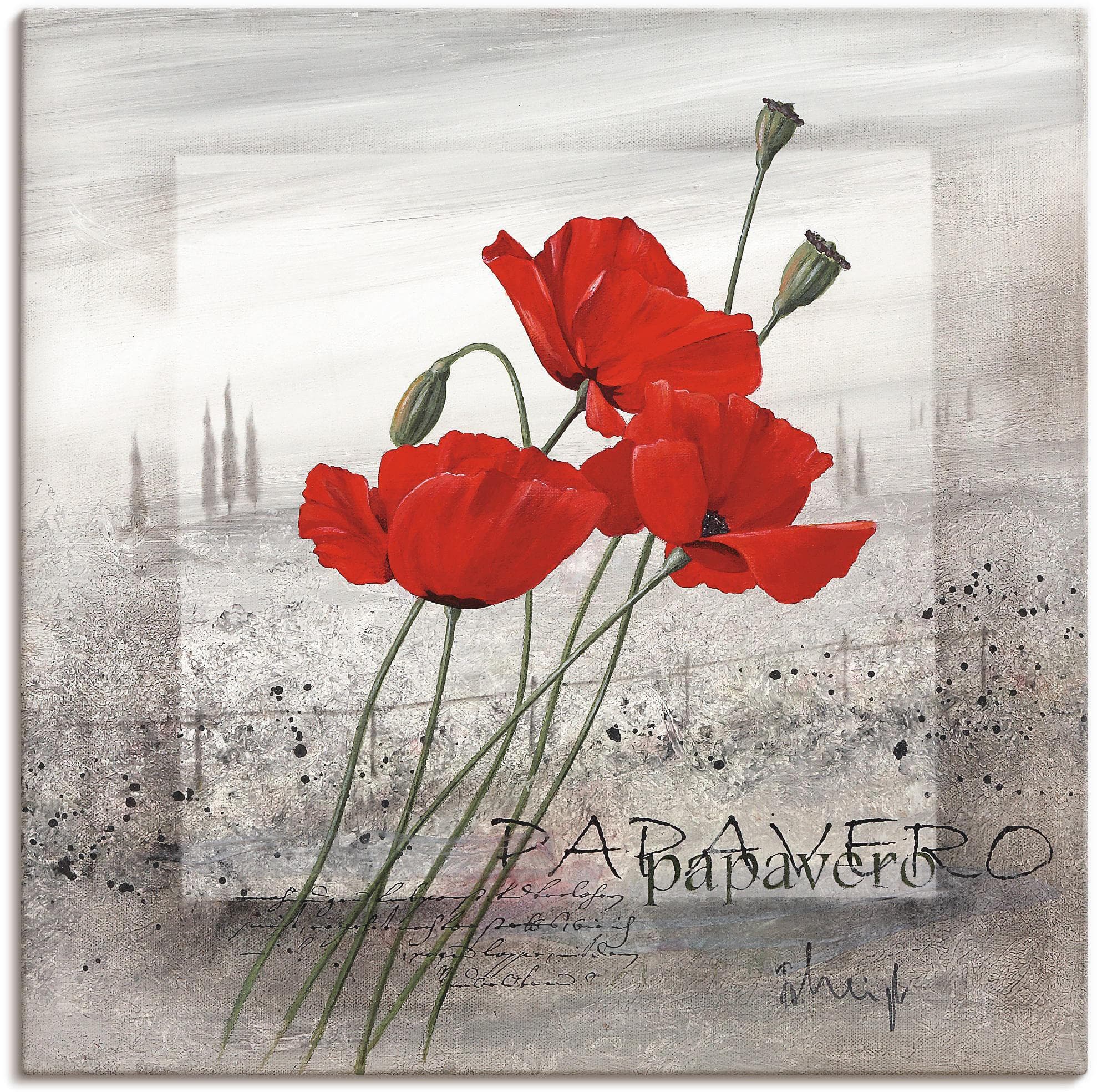 ARTLAND Wandbild Mohnblumen Rot Leinwandbild 70x70 cm