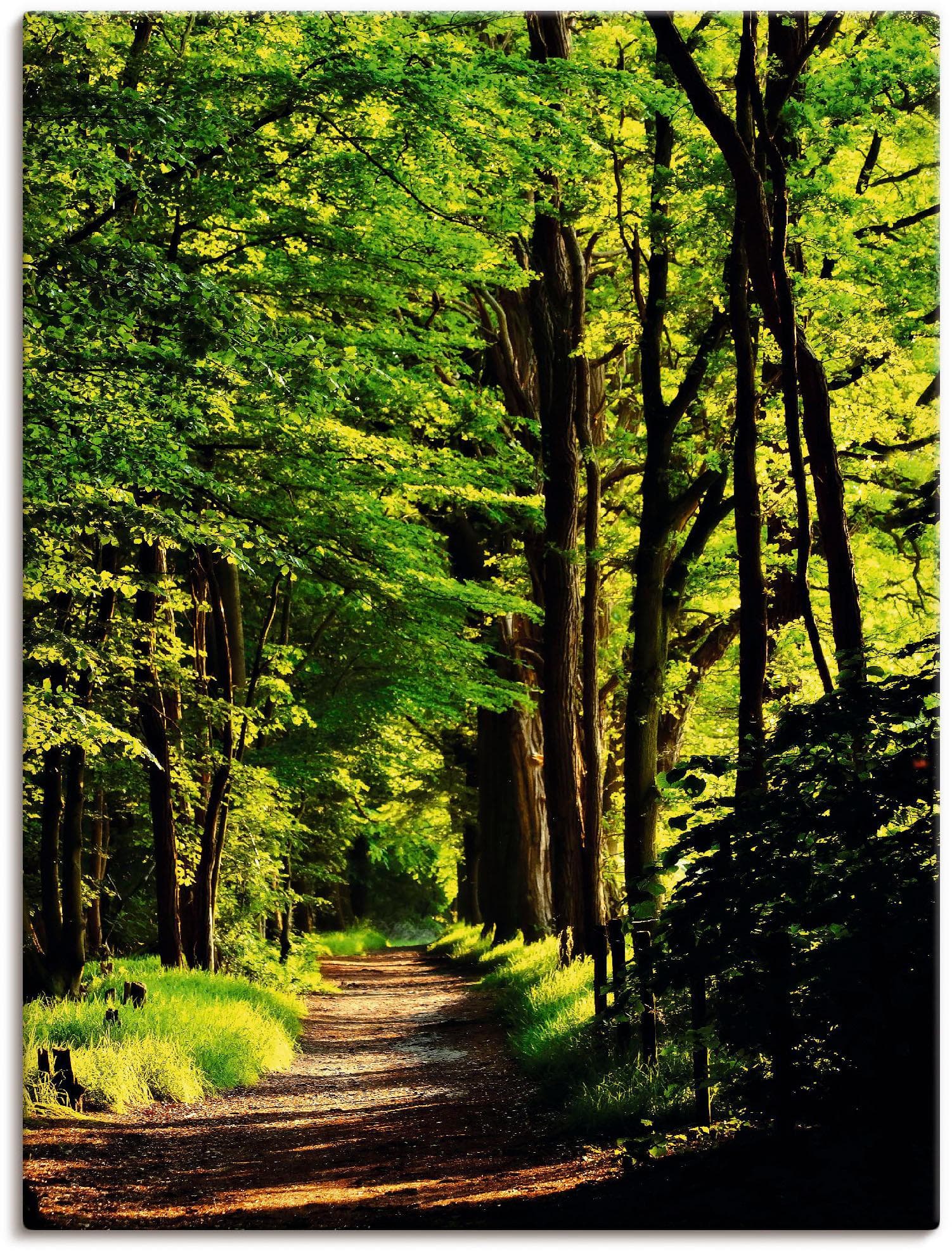 Wandbild ARTLAND Weg im Wald Grün Leinwandbild