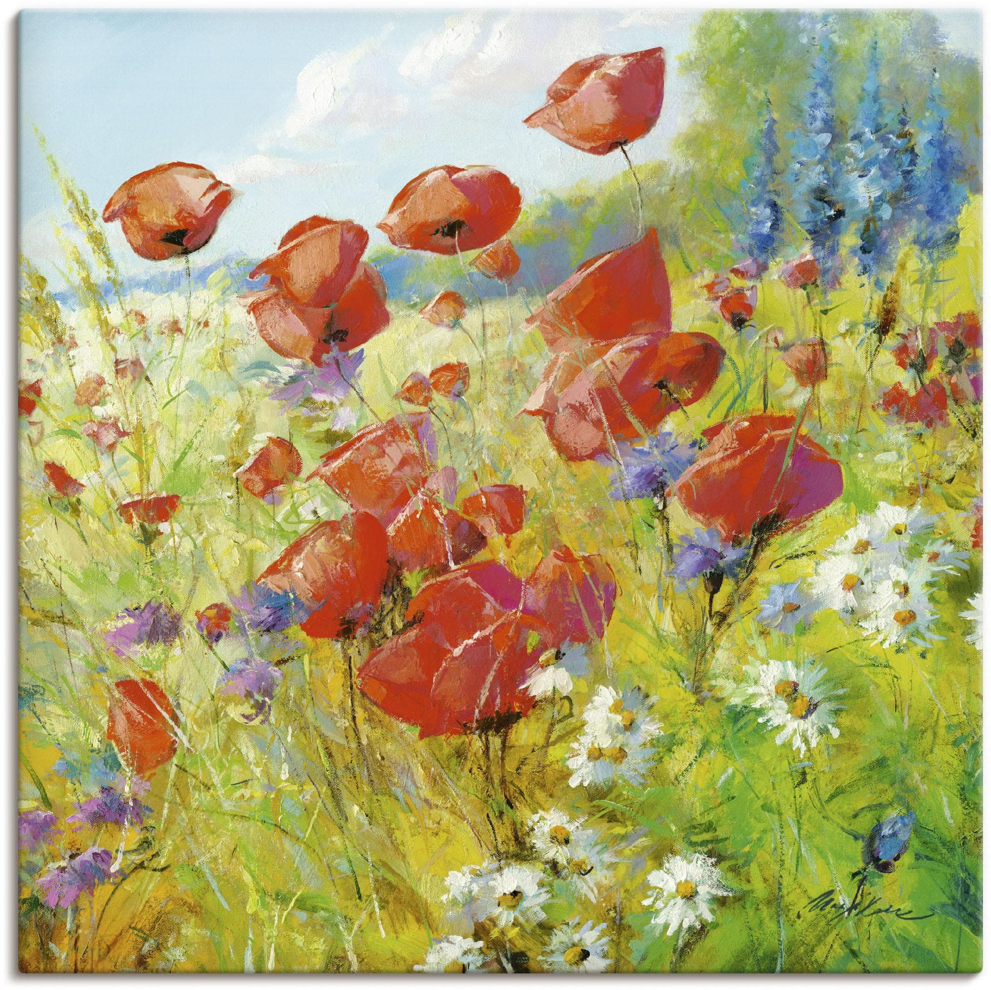 ARTLAND Leinwandbild Sommerwiese mit Mohnblumen Bunt