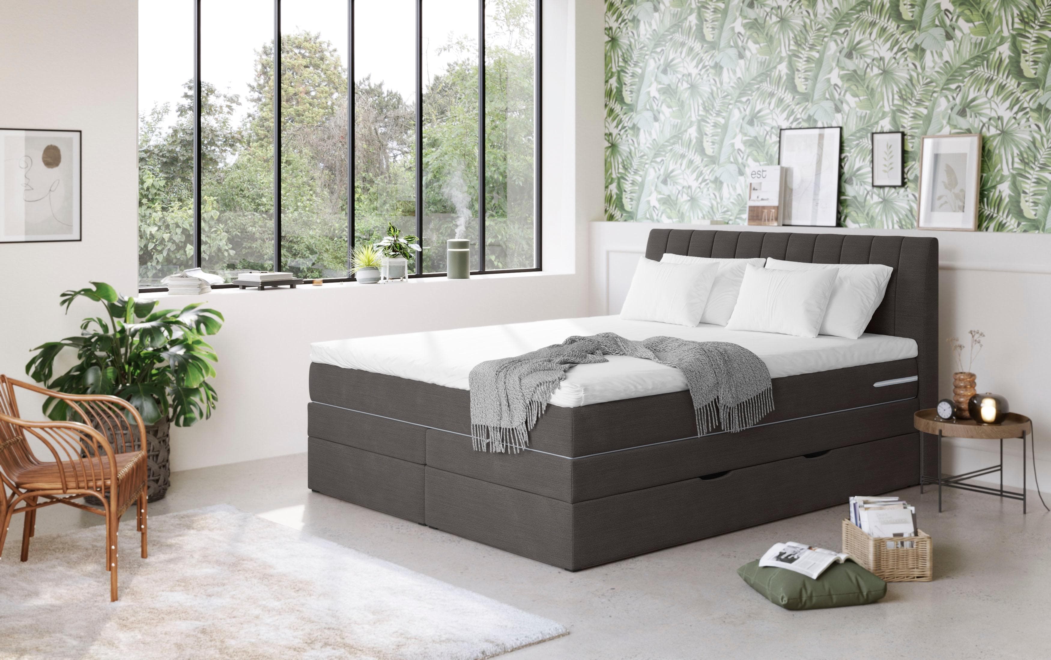 COTTA Boxspringbett Shark mit Bettkasten und Topper Grau