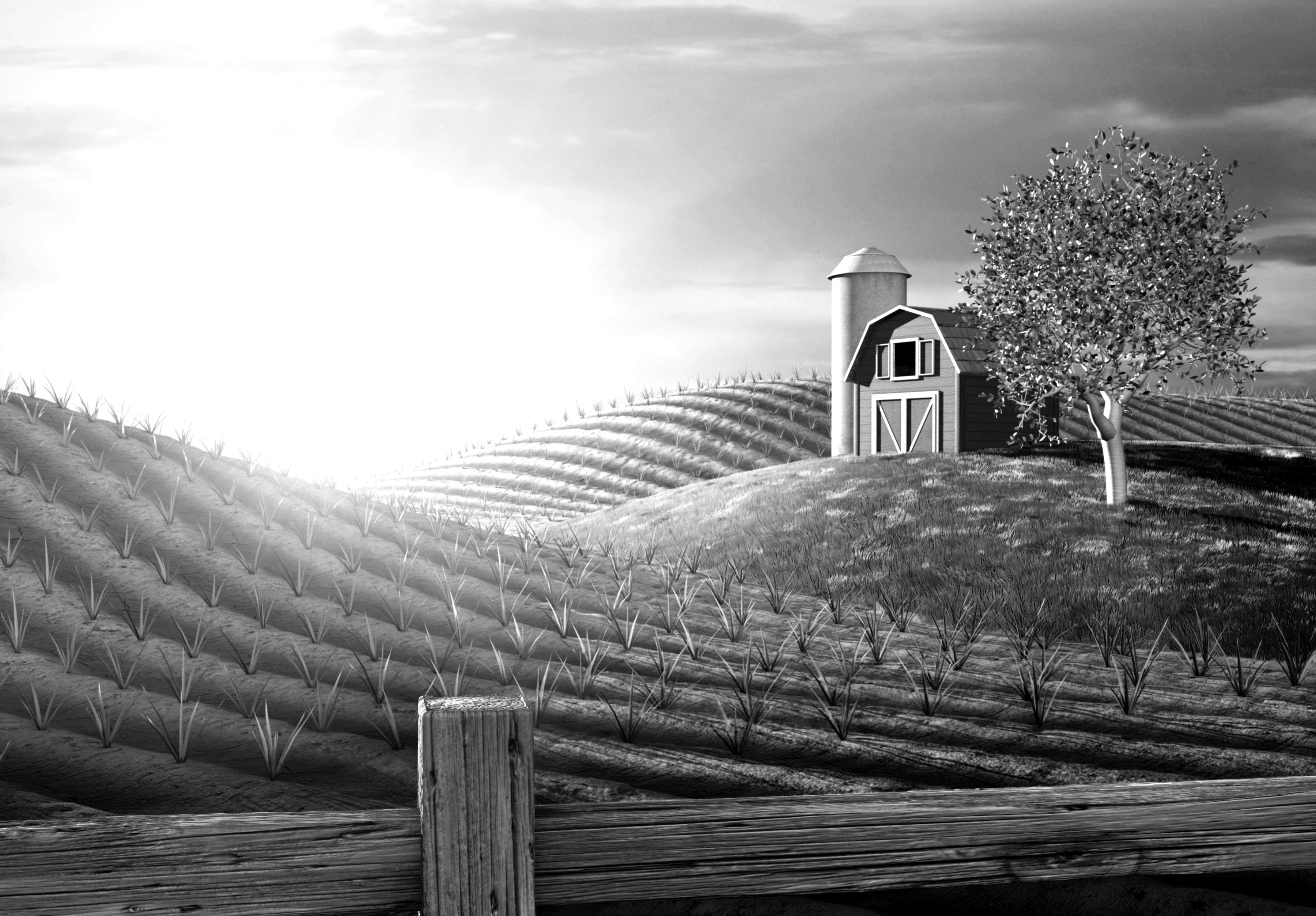PAPERMOON Fototapete Landschaft Schwarz-Weiß Vlies