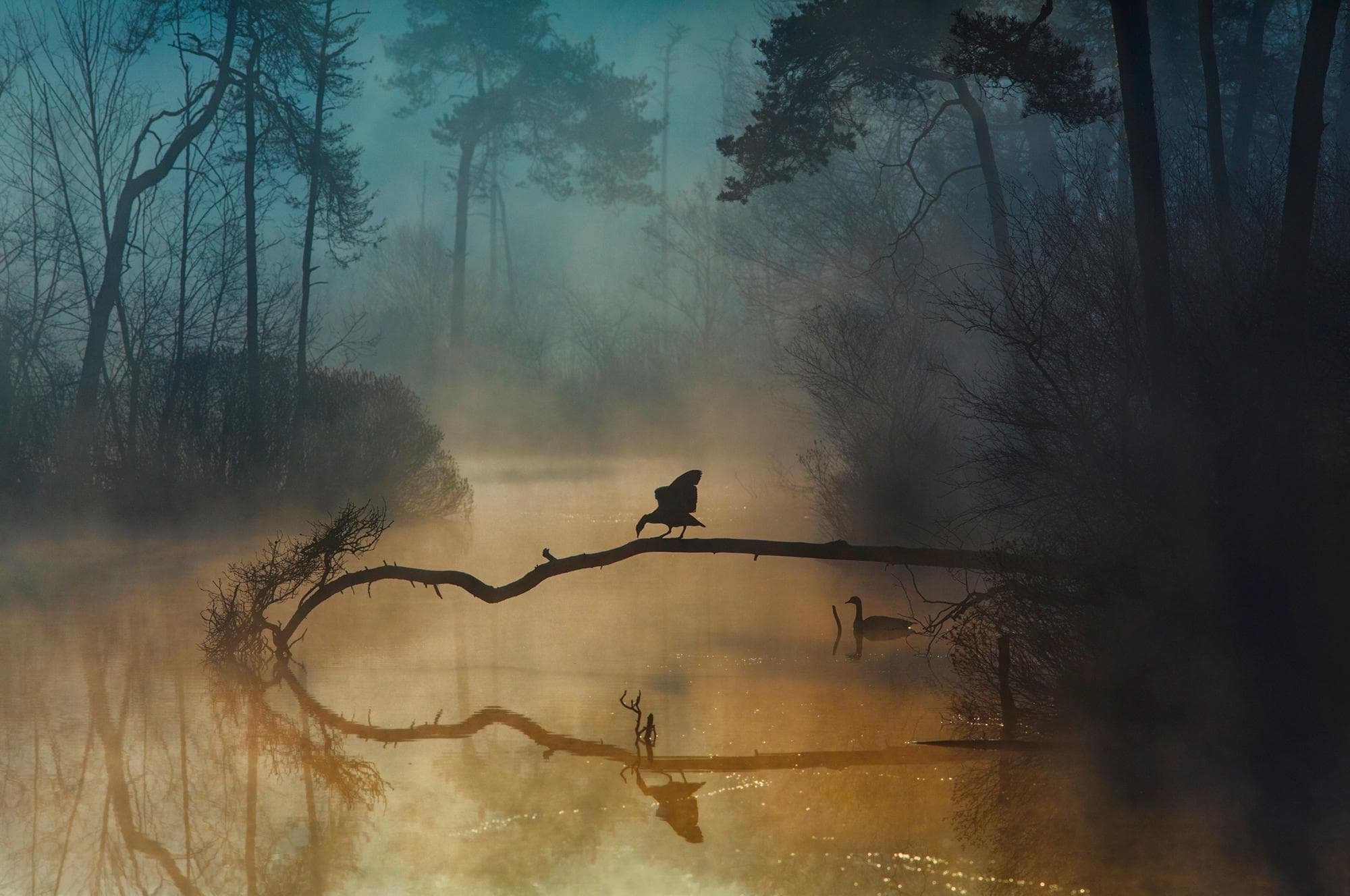 PAPERMOON Fototapete Photo-Art Anton van Dongen Bunt Vlies