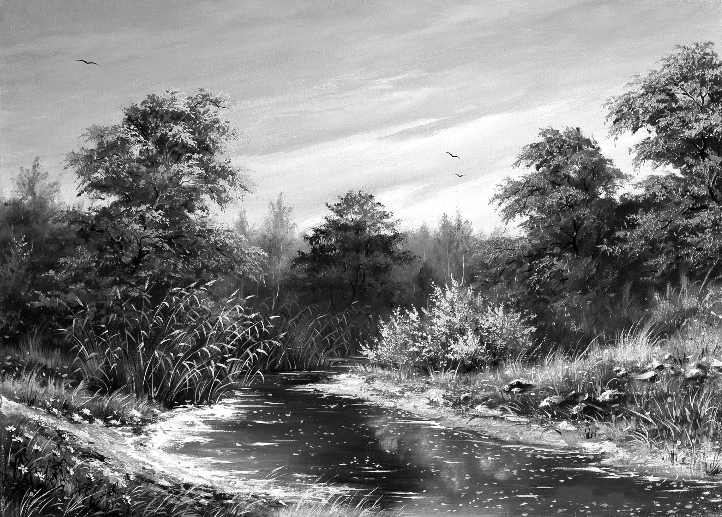 PAPERMOON Fototapete Landschaft Schwarz Weiß Vlies