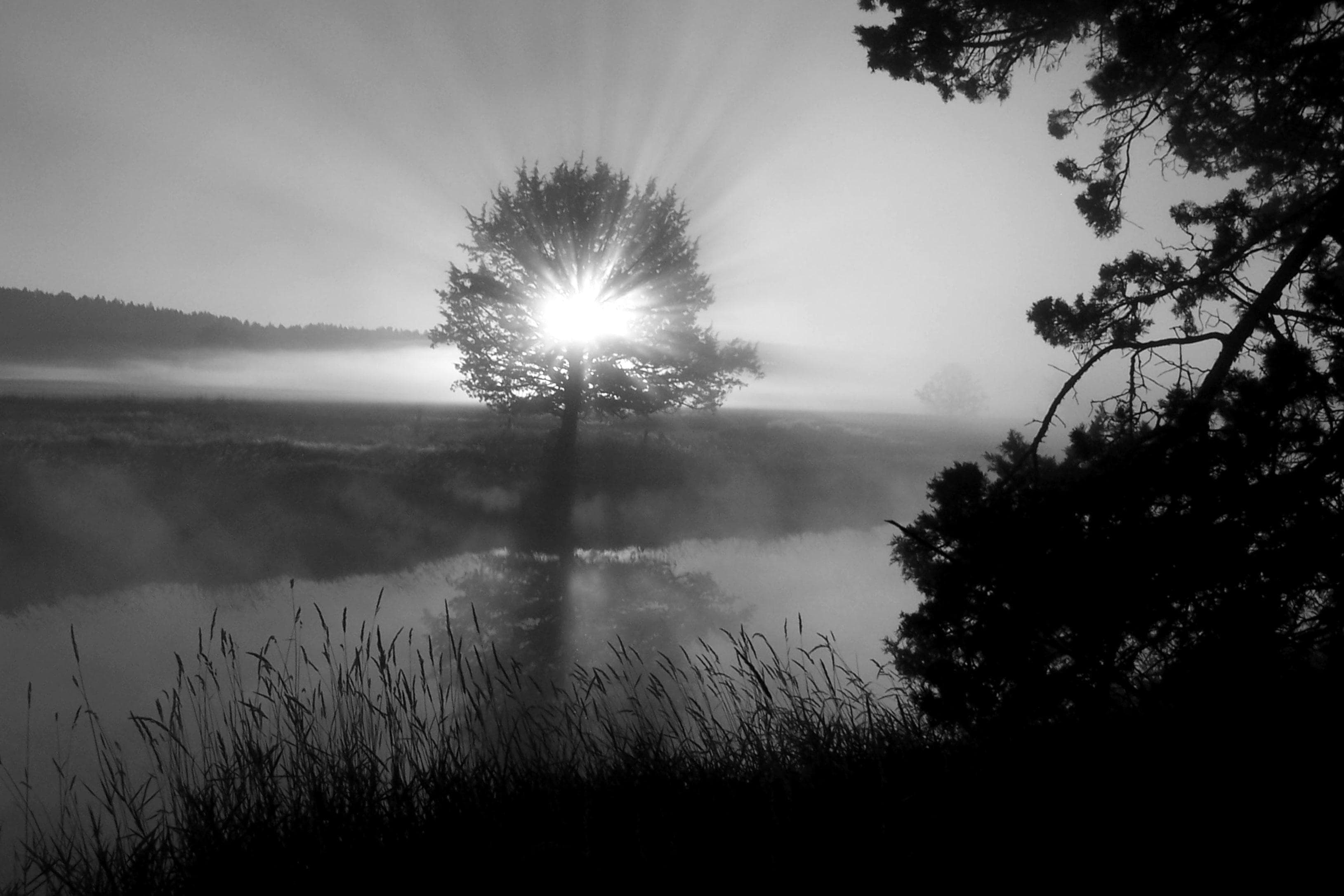 PAPERMOON Fototapete Landschaft Schwarz Weiß Vlies