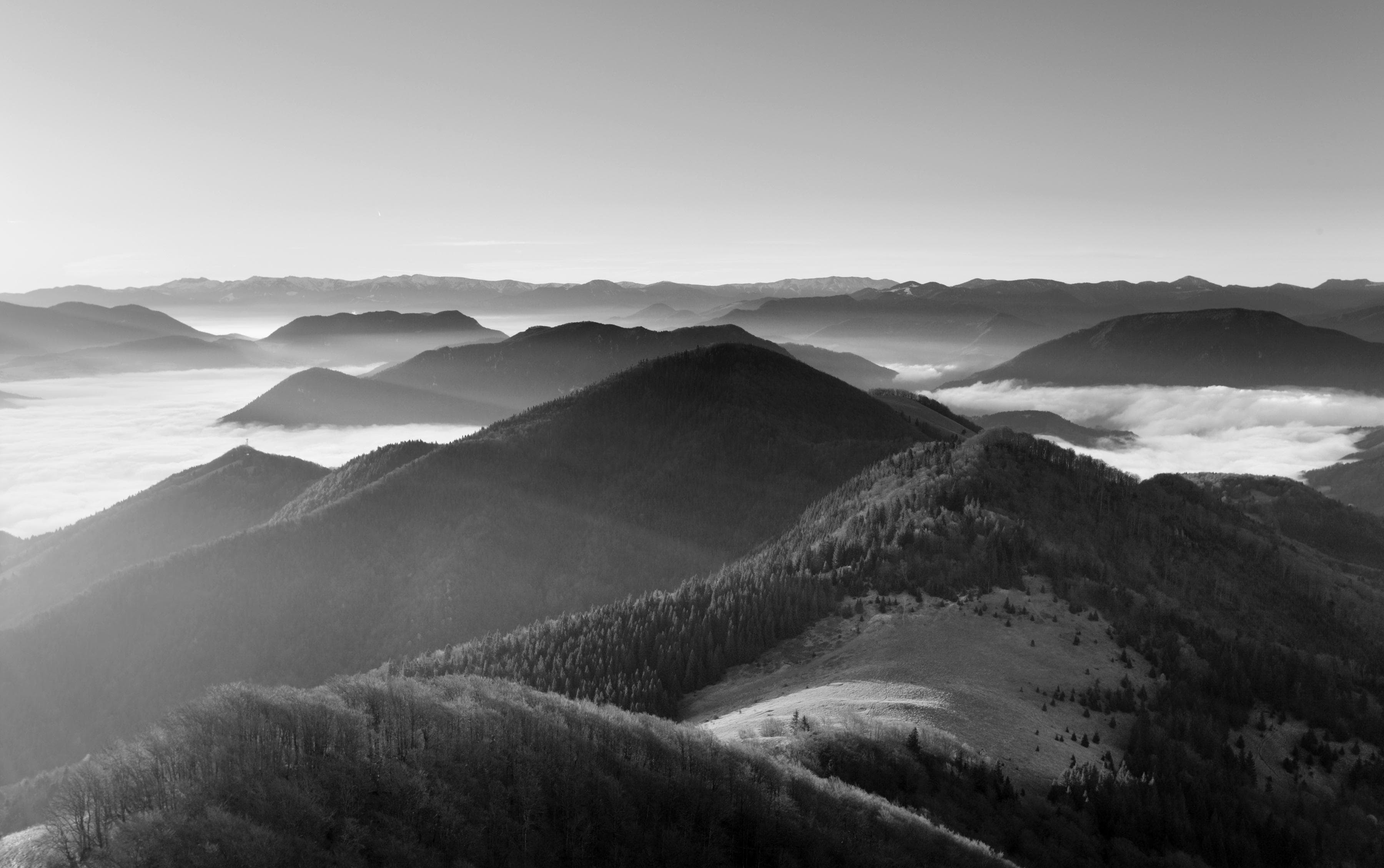PAPERMOON Fototapete Landschaft Schwarz Weiß Vlies