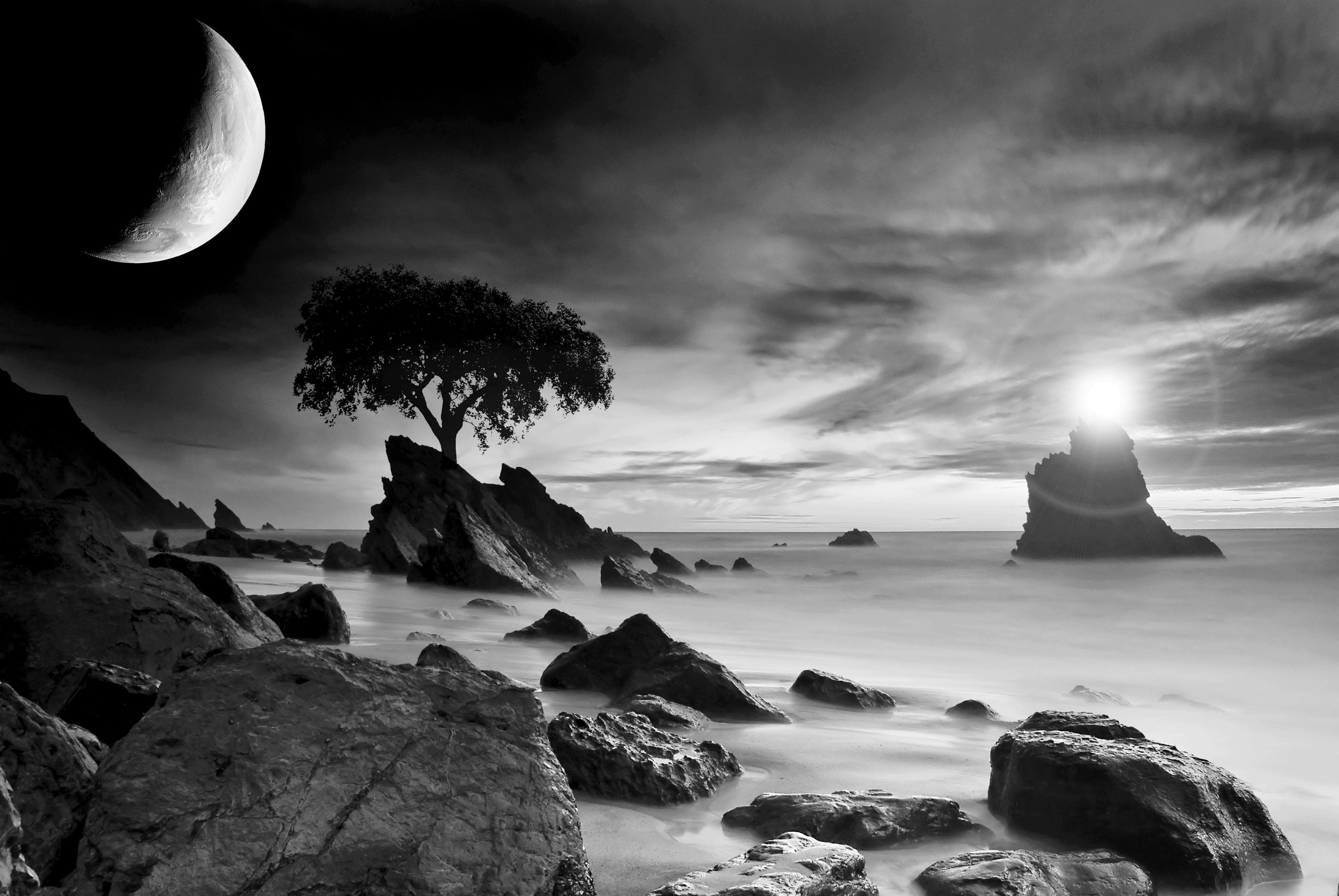 PAPERMOON Fototapete Landschaft Schwarz Weiß Vlies