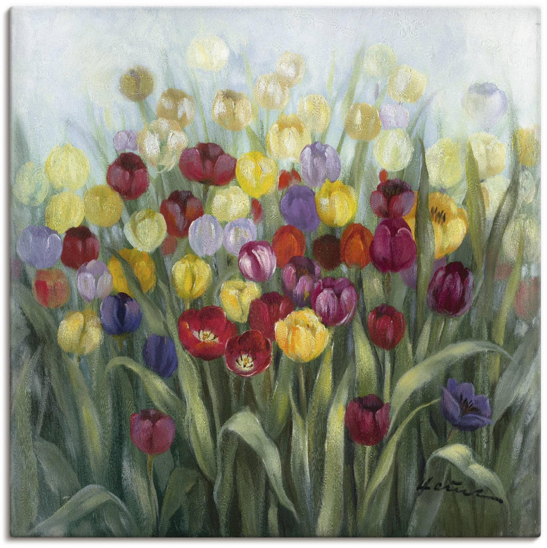 ARTLAND Leinwandbild Tulpenwiese II Bunt